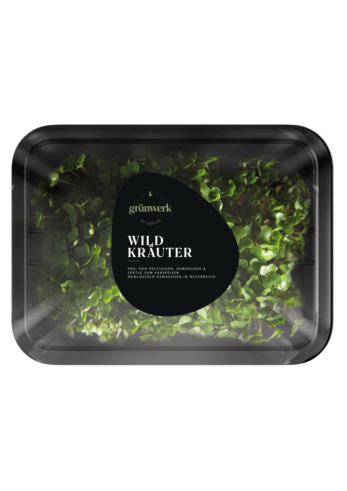 grunwerk - wildkrauter, website.png