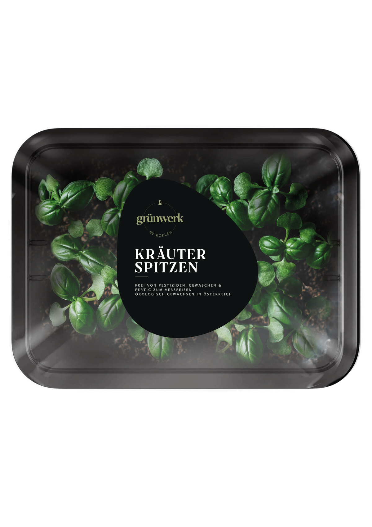 grunwerk - krauter, website.png